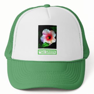 The MUSEUM Artist Series by jGibney Hibiscus Go G hat