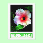The MUSEUM Artist Series by jGibney  Hibiscus Go G postcards