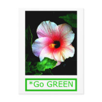The MUSEUM Artist Series by jGibney Hibiscus Go G postcards by The_MUSEUM MUSEUM Artists New Customized Gifts at The MUSEUM The MUSEUM Artist Series by jGibney Hibiscus Go G postcards