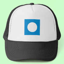 The MUSEUM Artist Series CyanHexacromecSqCircleTra hats