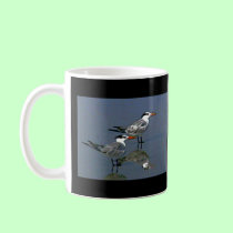 The MUSEUM Artist Series jGibney Birds2CocoaBeach1 mugs