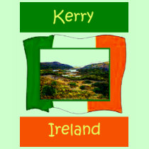 The MUSEUM Artist Series jGibney Ireland FlagKerry t-shirts