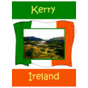 The MUSEUM Artist Series jGibney Ireland FlagKerry shirt