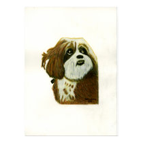 The MUSEUM Artist Series jGibney Murphy1 posters