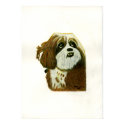 The MUSEUM Artist Series jGibney Murphy1 print