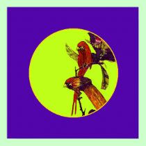 The MUSEUM Artist Series Purple-Yellow SqCircl posters