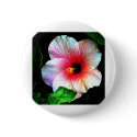 The MUSEUM Artitst Series jGibney Hibiscus72 button