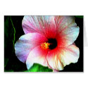 The MUSEUM Artitst Series jGibney Hibiscus72 card