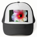 The MUSEUM Artitst Series jGibney Hibiscus72 hat