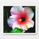 The MUSEUM Artitst Series jGibney Hibiscus72 mousepad