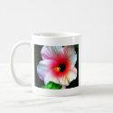 The MUSEUM Artitst Series jGibney Hibiscus72 mug