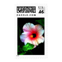 The MUSEUM Artitst Series jGibney Hibiscus72 stamp