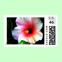 The MUSEUM Artitst Series jGibney Hibiscus72 postage