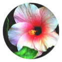The MUSEUM Artitst Series jGibney Hibiscus72 sticker