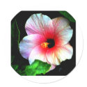 The MUSEUM Artitst Series jGibney Hibiscus72 sticker