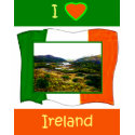 The MUSEUM Artitst Series jGibney I love Ireland shirt