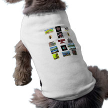 The MUSEUM jGibney 2009 Art1 Brochure1 Dog Clothing