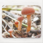 The Mushroom Family Mouse Pad