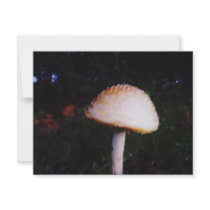 The Mushroom invitations