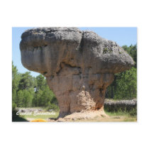 The mushroom (seta) post cards