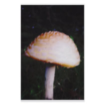 The Mushroom stationery by loudesigns The Mushroom stationery