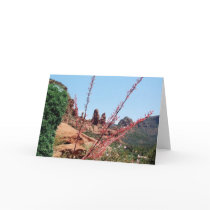 The Mystery of the Red Rocks-blank card by magichappens The Mystery of the Red Rocks-blank card