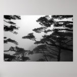 The Mystic Trees - Print