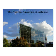 The National Aquarium of Baltimore Postcard