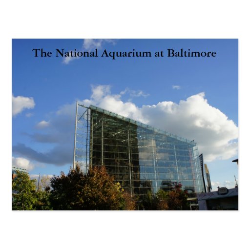 The National Aquarium of Baltimore Postcard Zazzle