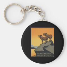The national parks preserve wild life keychains