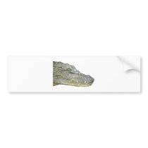 THE NATIVE CROCODILE BUMPER STICKERS
