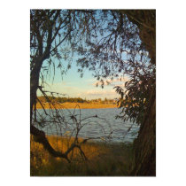 The Natural Frame posters by thefunkhouse The Natural Frame posters
