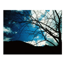 the natural scenery postcard