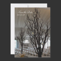 The Nature of a Wedding Invitation invitations