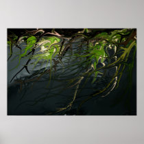 The Nature of Night poster posters