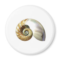 The Nautilus Shell Magnet