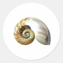 The Nautilus Shell Round Stickers