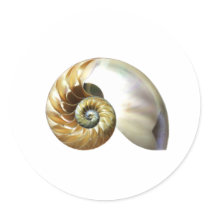 The Nautilus Shell Round Stickers