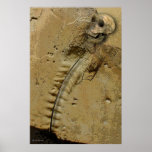 THE NEANDERTHAL POSTER