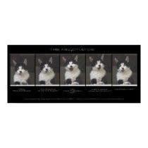 "THE NEGOTIATOR" Cat Print or Poster by RavenSpiritPrints "THE NEGOTIATOR" Cat Print or Poster