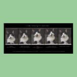 "THE NEGOTIATOR" Cat Print or Poster