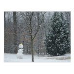 The Neighbor's Snowman Postcard