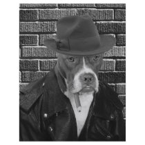 The new Dick Tracy flyers