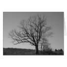 postcard - postcard -