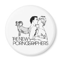 The New Pornographers Mass Romantic magnets