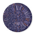 The New Pornographers Spaceship magnets