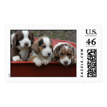 The new pups! postage by Brinybone The new pups! postage