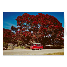 The New Zealand Christmas Tree Greeting Card