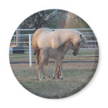 The Newborn round magnet