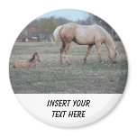 The Newcomer Magnet